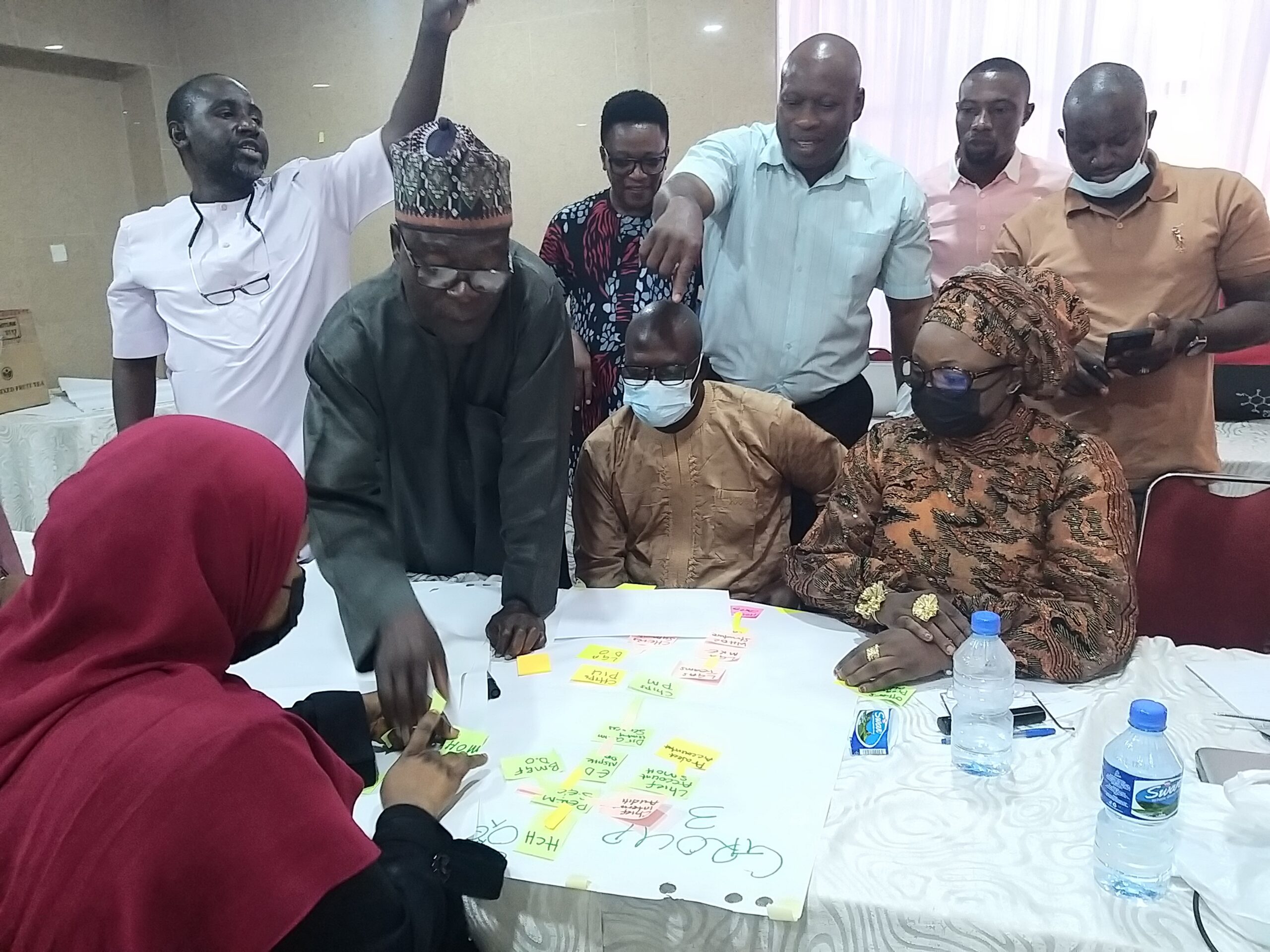 Technical support Organisation to Strengthen Project Management Capacity for CHIPS program in Niger State